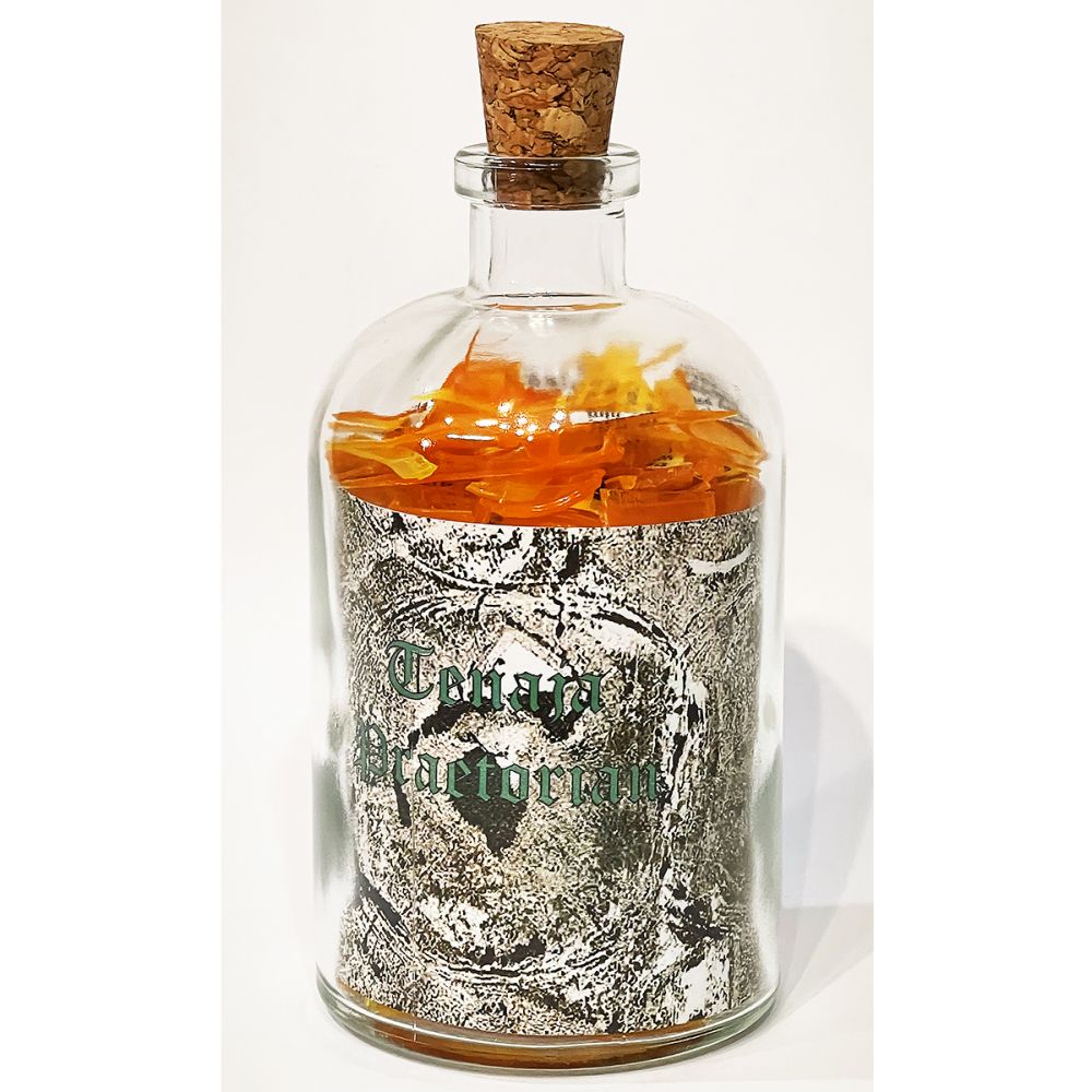 <br/>Tenaja Praetorian, 10/10/2025<br/>Apx 6½" x 3" x 3"<br/>glass, paper, ink, cork and plastic